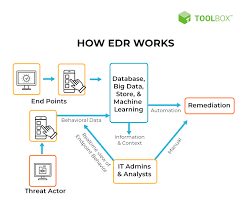 How to Find Endpoints?